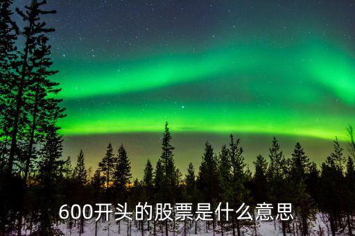 600開(kāi)頭的股票是什么意思