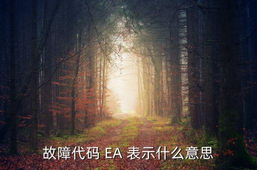 華泰ea什么意思，故障代碼 EA 表示什么意思