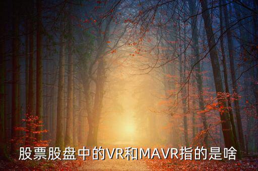 vr股是什么，股票股盤(pán)中的VR和MAVR指的是啥