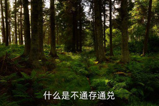 不通存通兌是什么意思，什么是不通存通兌