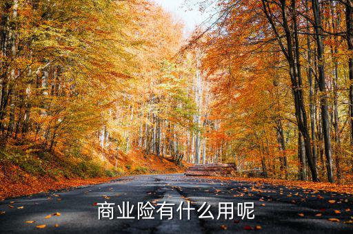 交商業(yè)保險有什么用，商業(yè)險有什么用呢
