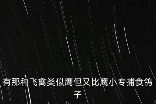 有那種飛禽類(lèi)似鷹但又比鷹小專(zhuān)捕食鴿子