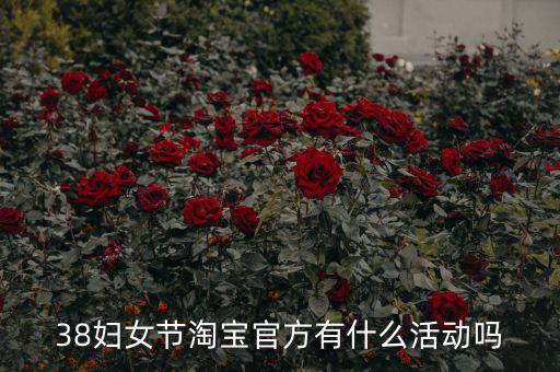 三八婦女節(jié)各個電商有什么活動，淘寶店在三八節(jié)可以搞些什么活動