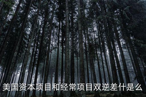 美國(guó)資本項(xiàng)目和經(jīng)常項(xiàng)目雙逆差什是么