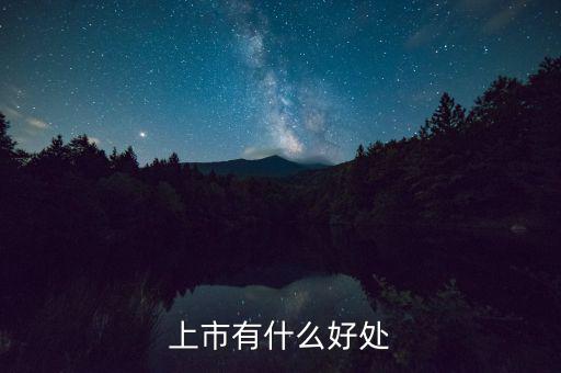 上市有什么好處，上市公司有什么好處