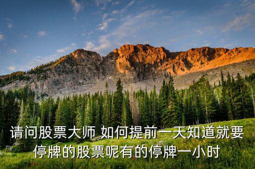 請(qǐng)問股票大師 如何提前一天知道就要停牌的股票呢有的停牌一小時(shí)