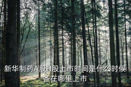 新華醫(yī)藥是什么股票，600587新華醫(yī)療2560買的最后1個(gè)交易日終究解套并小贏了請(qǐng)問(wèn)接下來(lái)