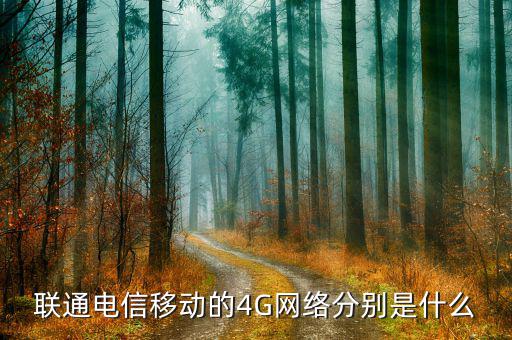 聯(lián)通混合組網(wǎng)什么意思，為什么我的聯(lián)通卡顯示H是什么意思