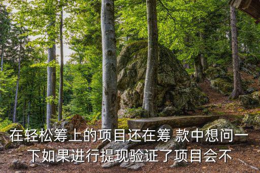 輕松籌提現(xiàn)有什么審核，輕松籌審核條件
