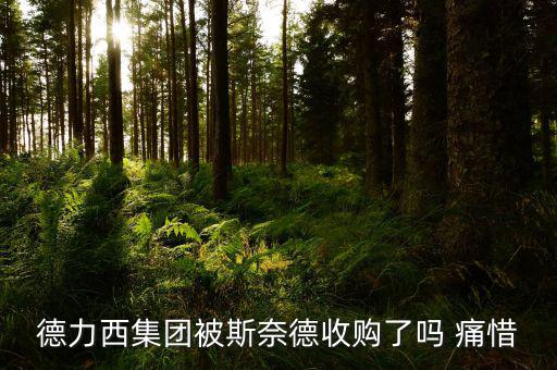 德力西什么時候被收購的，德力西集團(tuán)被斯奈德收購了嗎 痛惜
