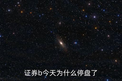 券商b級1月11日為什么停牌了，證券b今天為什么停盤了