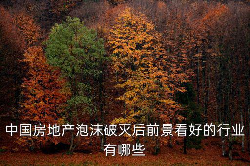 房地產(chǎn)泡沫后什么行業(yè)賺錢，如果真有一天中國房地產(chǎn)泡沫破了我們做點什么賺錢呢或者說有