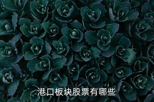 福建有什么港口股票，福建有哪些優(yōu)良的港口
