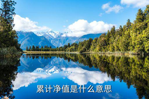 累計(jì)凈值是什么意思，累計(jì)凈值是什么意思