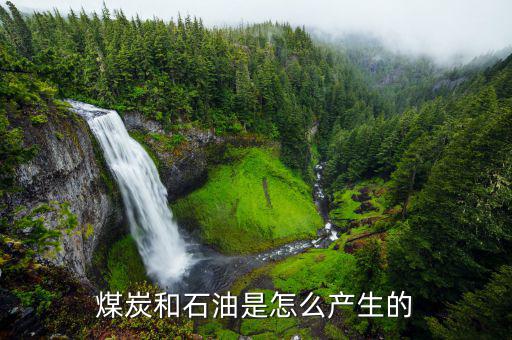 石墨礦怎么形成,石墨最常見于大理石、片巖或砂麻巖中