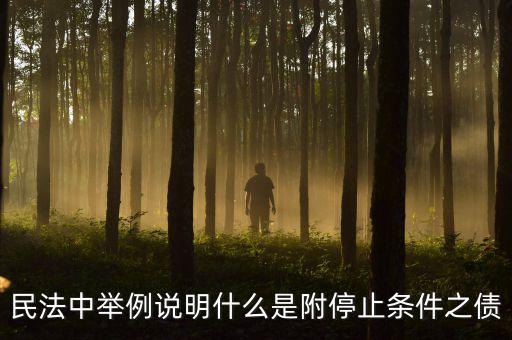 附停止條件的合同是什么意思，請教一下 怎么理解附條件和附期限合同啊 最好舉個(gè)例子 萬分感謝  搜