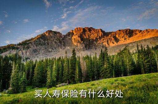 人壽保險有什么好處，人壽保險到底有何作用