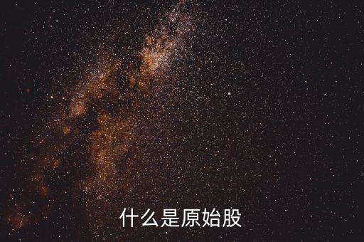 公司原始股是什么，什么是原始股怎樣買原始股