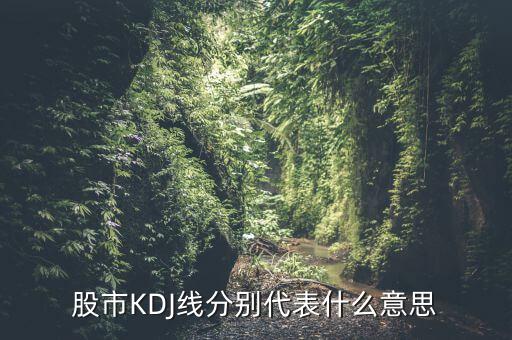 股票中的kdj代表什么，股票指標(biāo)的KDJ是什么意思