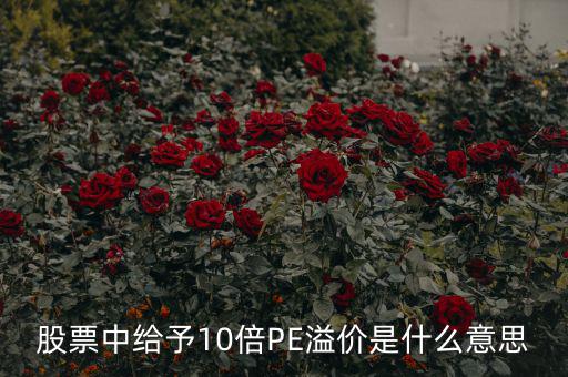 股票10倍市盈率什么意思，買10倍市盈率上下的大盤股什么意思