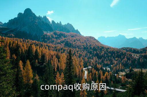 泰一指尚為什么被收購(gòu)，compaq收購(gòu)原因
