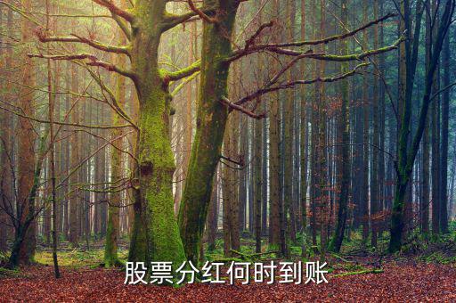 分紅什么時候到賬，分紅的金額什么時候會到賬戶