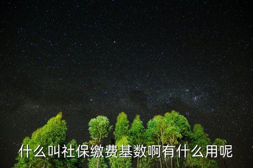 社保繳費(fèi)基數(shù)有什么用，什么叫社保繳費(fèi)基數(shù)啊有什么用呢