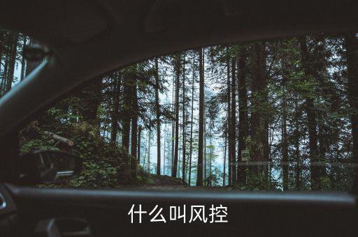 易到風(fēng)控什么意思，什么叫風(fēng)控
