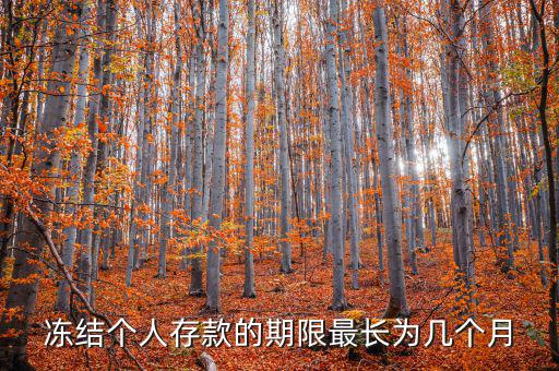 凍結(jié)個(gè)人存款的期限最長為幾個(gè)月