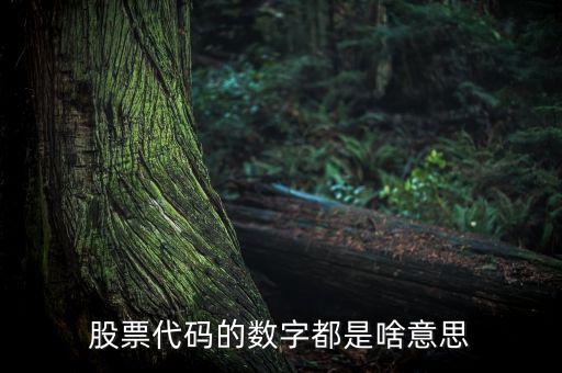 股票名稱下面的數(shù)字是什么，請教高手股票名稱后面的那些數(shù)字代表什么意思