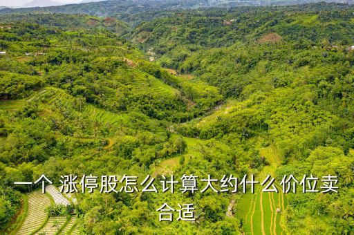 一個 漲停股怎么計算大約什么價位賣合適