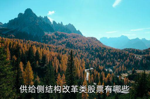 供給側(cè)最利好什么股票，供給側(cè)改革概念股有哪些