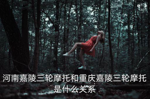 中國嘉陵是什么板塊，中國嘉陵到底有什么概念