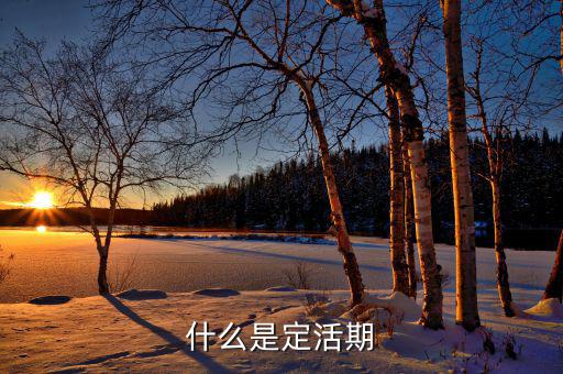 定期活期是什么意思，什么是定活期