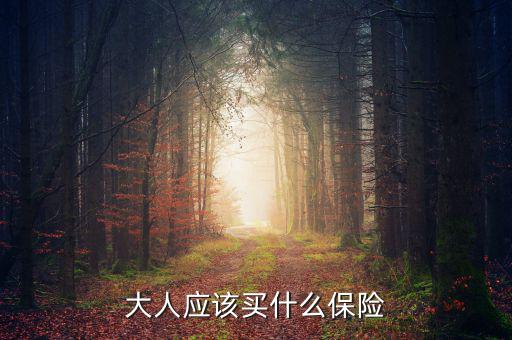 大人買(mǎi)什么保險(xiǎn)最好，大人保險(xiǎn)哪個(gè)比較合適