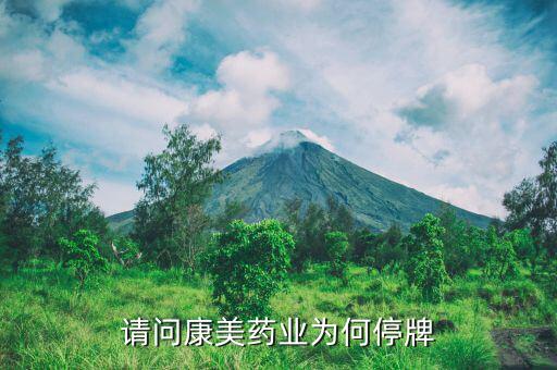 康美藥業(yè)為什么停牌了，請問康美藥業(yè)為何停牌