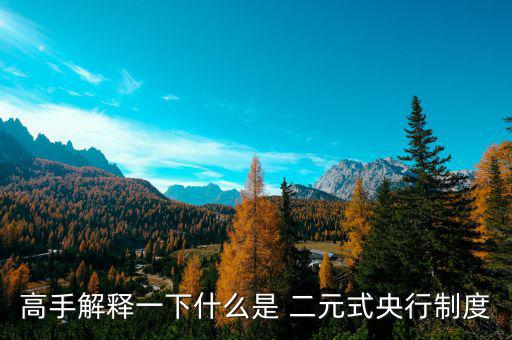 什么是二元體制，什么是二元制