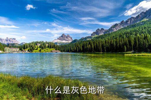 什么是項目灰色地帶，什么是灰色地帶