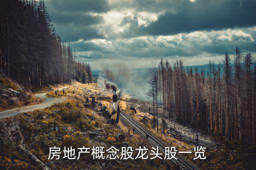 地產(chǎn)業(yè)有什么股票，房地產(chǎn)股票有哪些