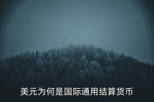 美元為何是國際通用結算貨幣