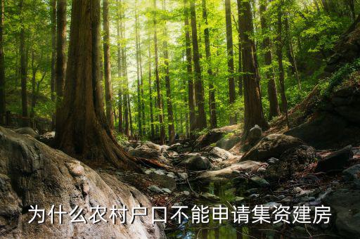 為什么現(xiàn)在不能集資，為什么農(nóng)村戶口不能申請集資建房