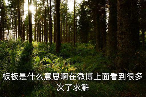 要板了是什么意思，板板是什么意思啊在微博上面看到很多次了求解