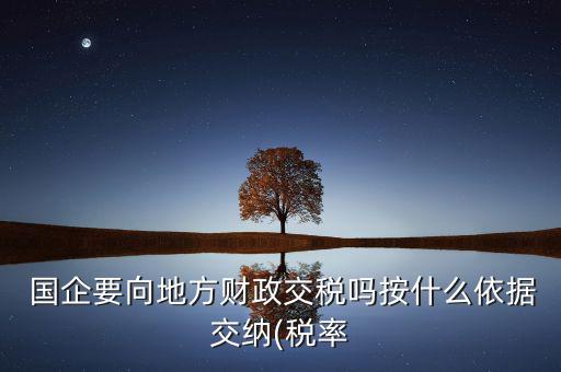  國企要向地方財(cái)政交稅嗎按什么依據(jù)交納(稅率