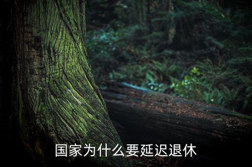 為什么要延遲退休，為什么要推遲退休年齡