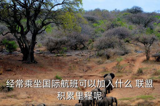 星空聯(lián)盟積分怎么算,南航、東航可通過明珠卡共享積分等