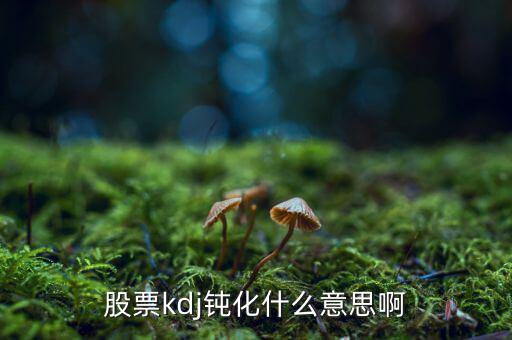 什么是kd高檔鈍化，KDJ鈍化是什么意思
