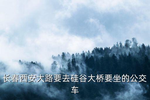 長春西安大路要去硅谷大橋要坐的公交車