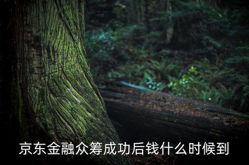 京東金融活動什么時候結束，金條的活動什么時候結束啊