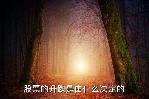 股票根據(jù)什么跌升，股票的升跌是由什么決定的
