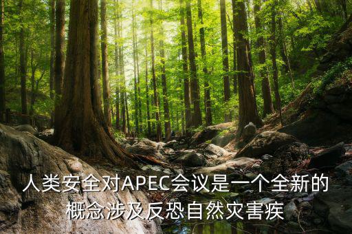 2014apec峰會(huì)簽署了什么文件，亞洲和太平洋地區(qū)經(jīng)濟(jì)合作會(huì)議簡(jiǎn)稱 APEC